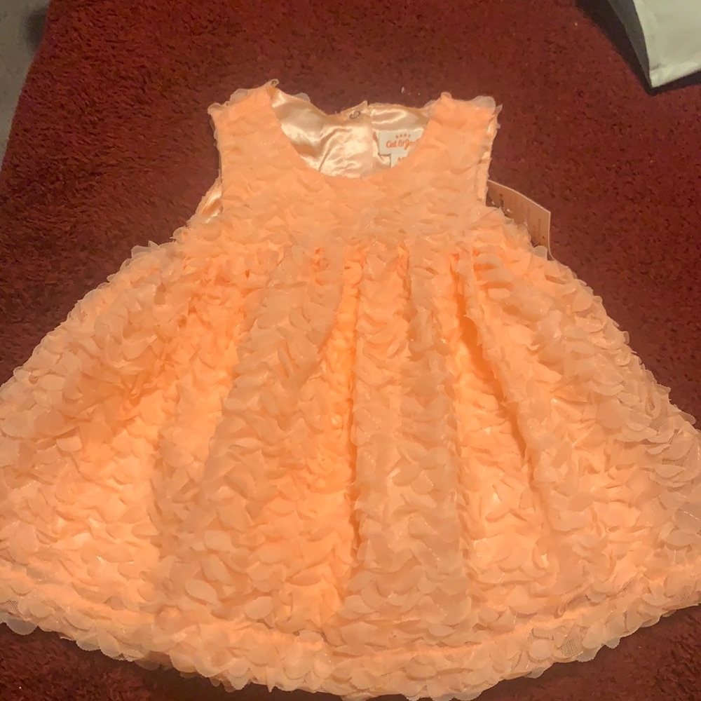 Brand new spring baby girl dress. NWT
